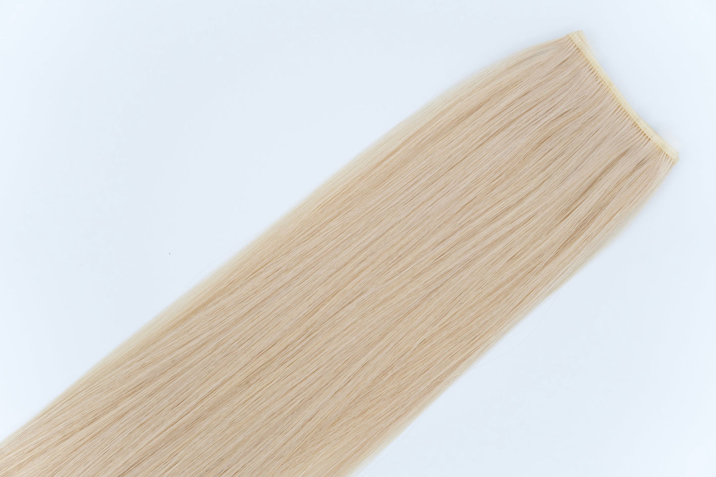 Genius Weft, Champagne