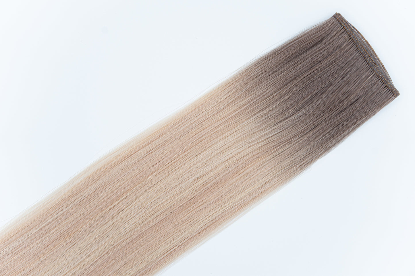 Genius Weft, Studio